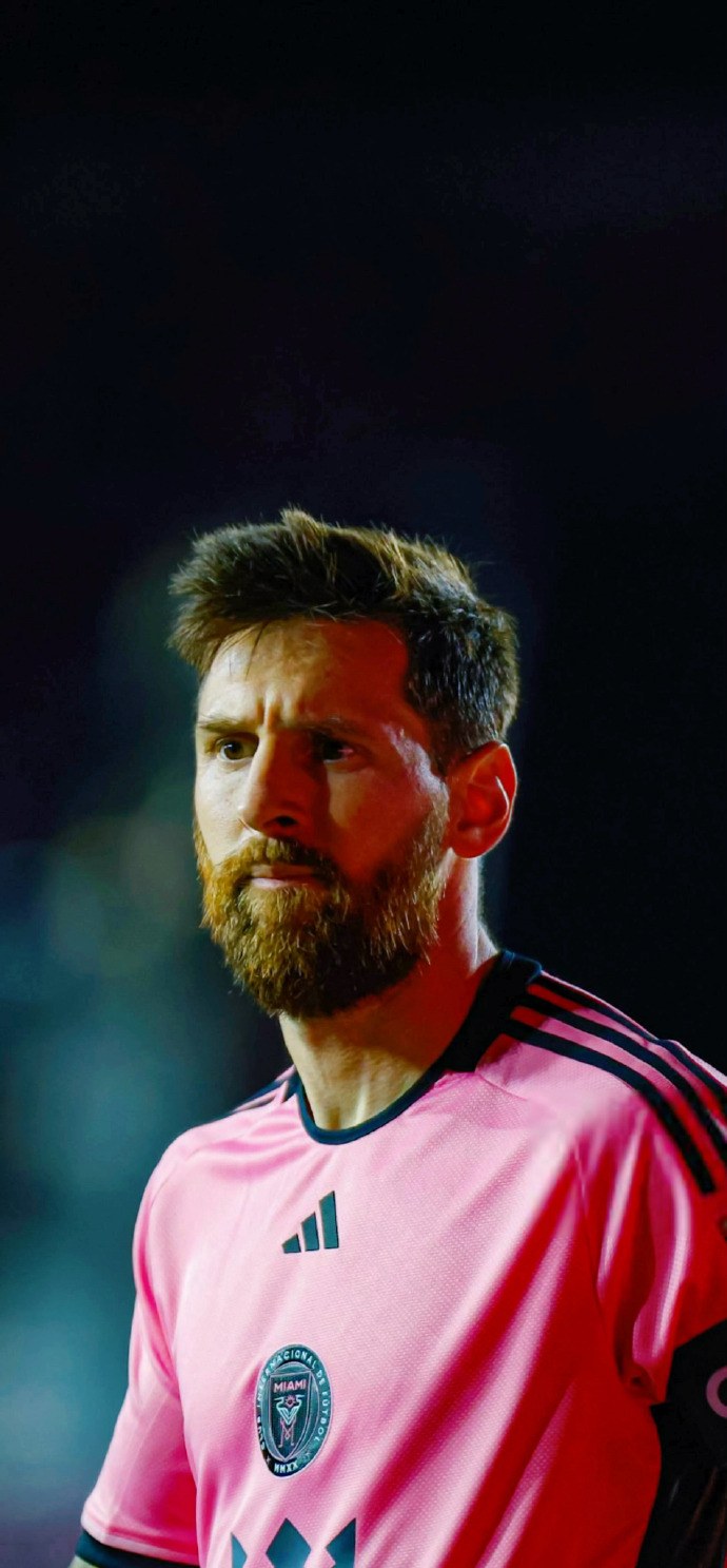 逐步绽放光 逐步绽放光